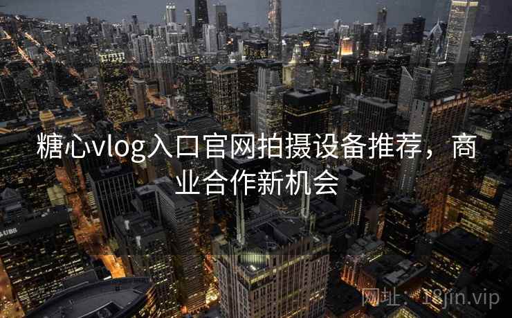 糖心vlog入口官网拍摄设备推荐，商业合作新机会  第2张