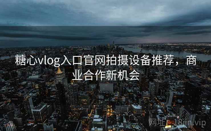 糖心vlog入口官网拍摄设备推荐，商业合作新机会  第1张