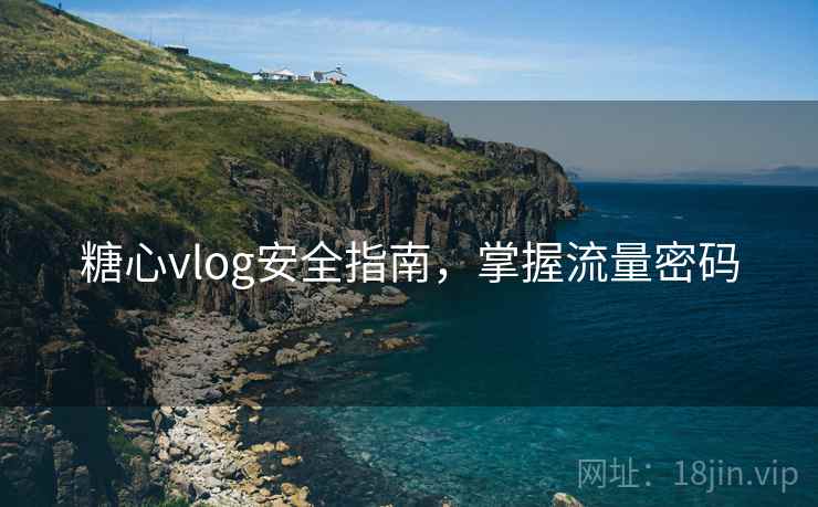 糖心vlog安全指南,掌握流量密码